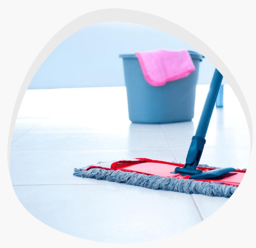 Tile And Grout Cleaning Highton