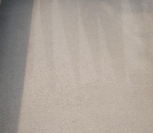 best carpet cleaning highton